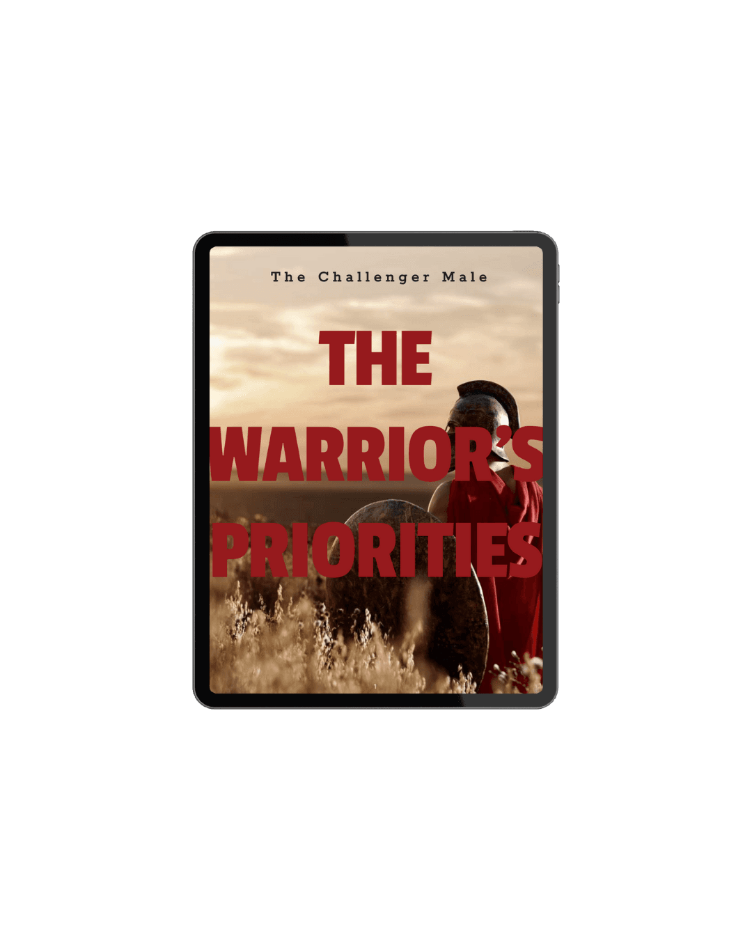 Free Bonus 4: The Warrior’s Priorities