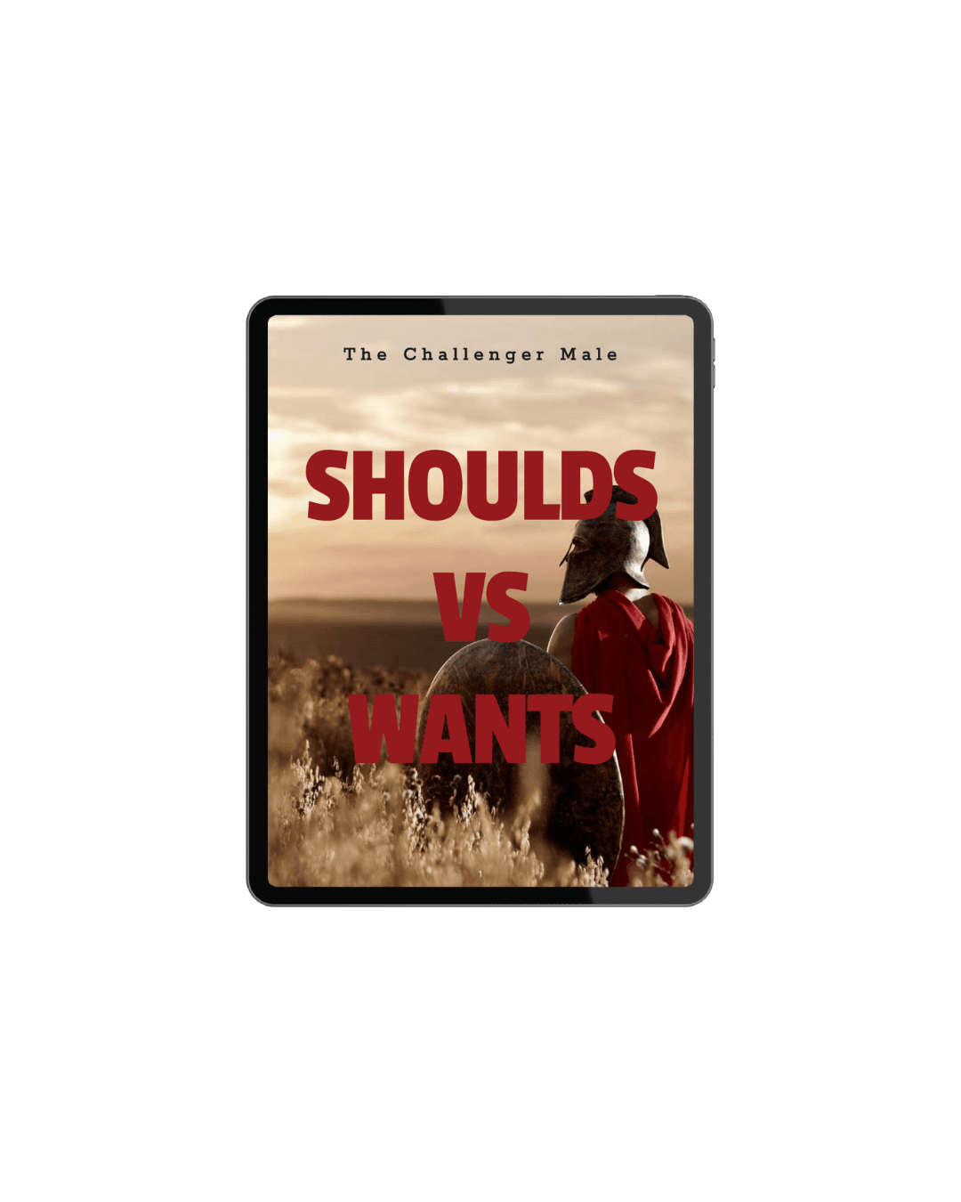 Free Bonus 3: Shoulds vs Wants Tactical Reframe