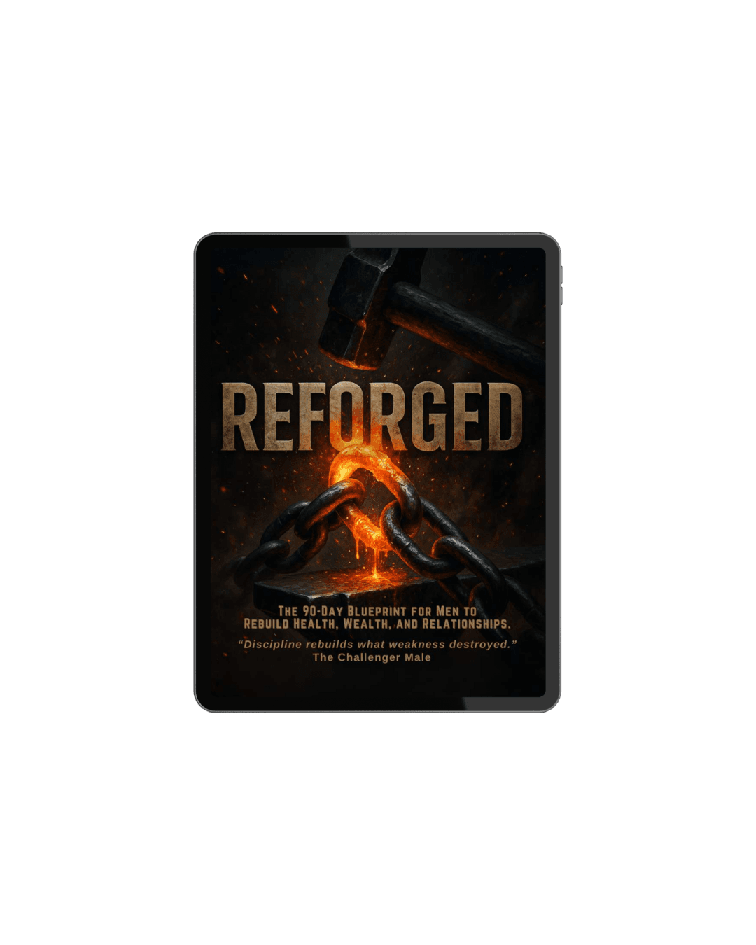 Reforged: The 90-Day Blueprint for Men to Rebuild Their Health, Wealth, and Relationships