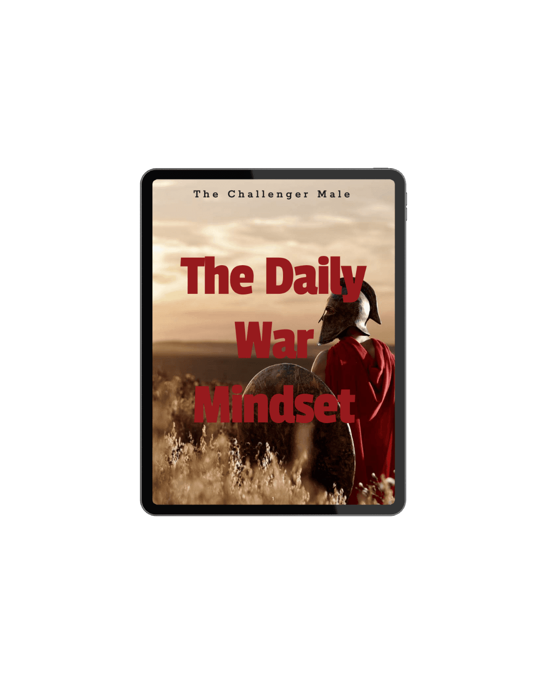 Free Bonus 2: The Daily War Mindset